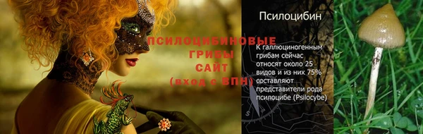 а пвп мука Вяземский