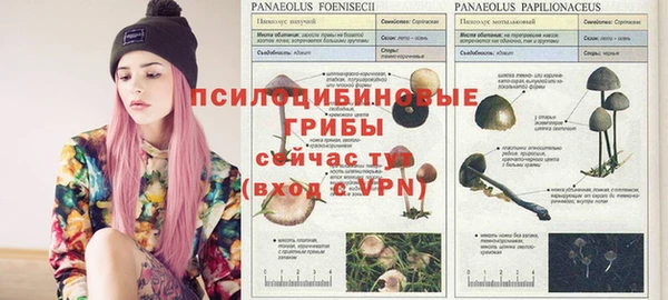 а пвп мука Вяземский