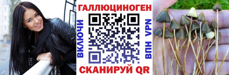 Купить где Остров Галлюциногенные грибы Psilocybe